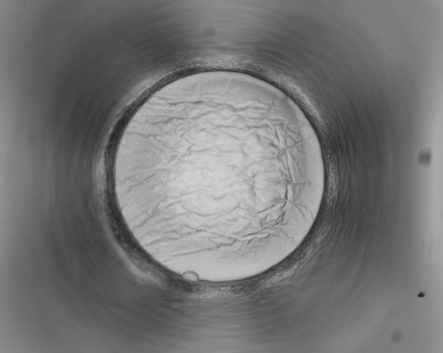 X0000116660674201001251218