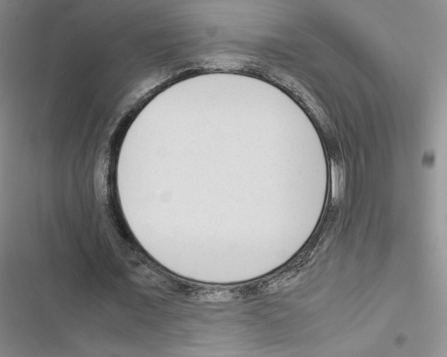 X0000116660675201001251218