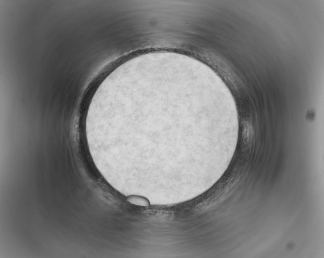 X0000116660676201001251218