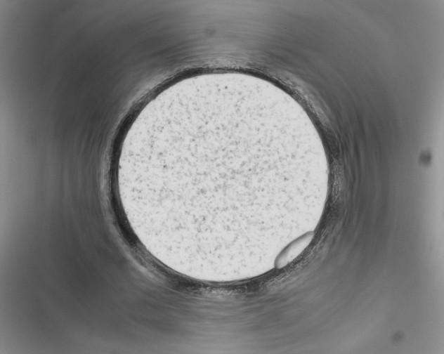 X0000116660677201001251218