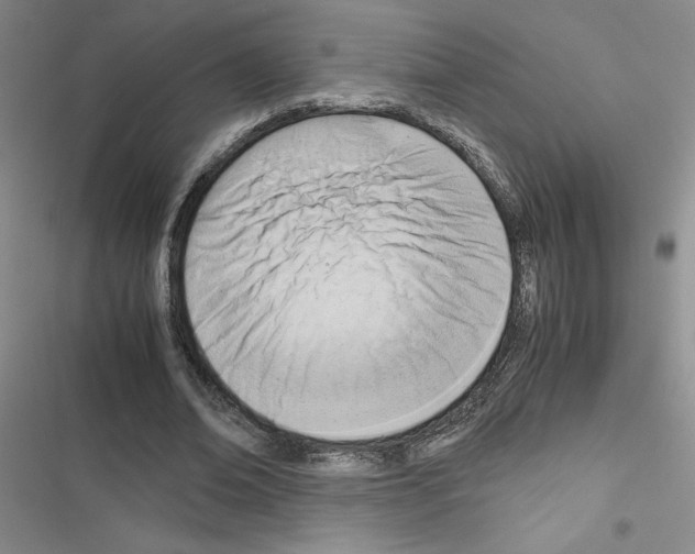 X0000116660678201001251218