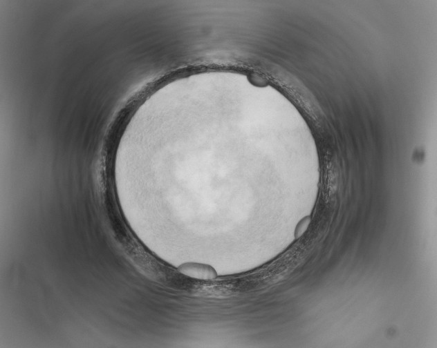 X0000116660680201001251218