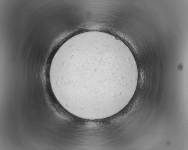 X0000116660682201001251218
