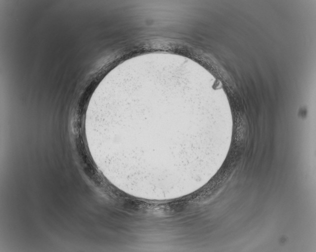 X0000116660683201001251218