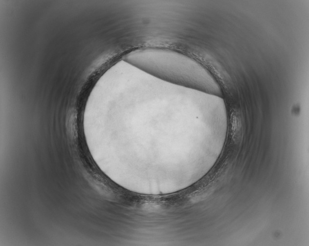 X0000116660684201001251218
