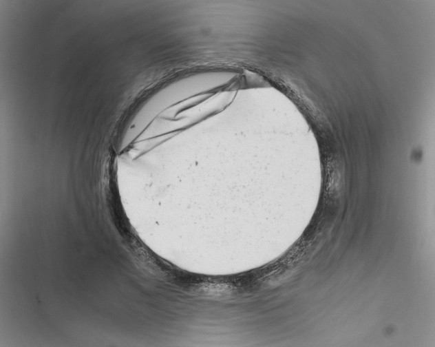 X0000116660685201001251218