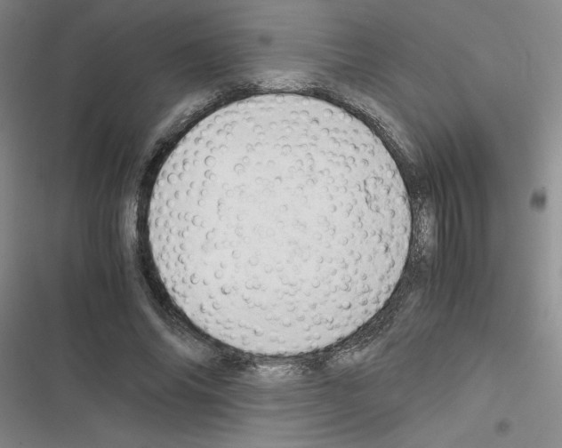 X0000116660686201001251218