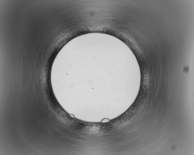 X0000116660687201001251218