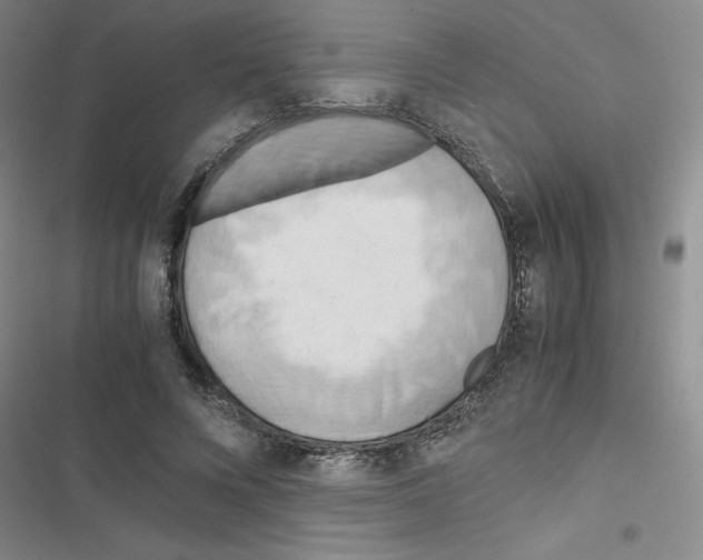 X0000116660688201001251218