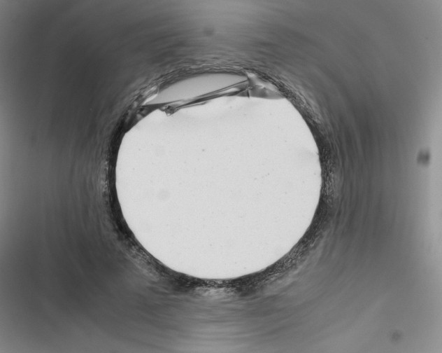 X0000116660689201001251218