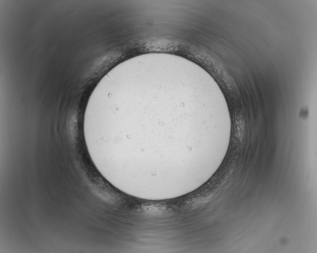 X0000116660690201001251218