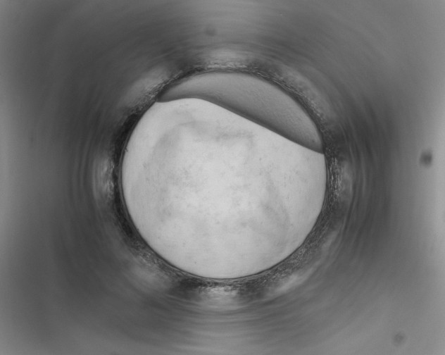 X0000116660692201001251218
