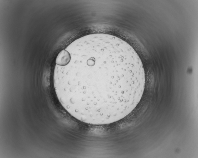 X0000116660694201001251218