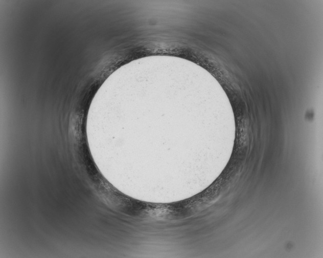X0000116660695201001251218