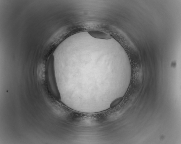X0000116660696201001251218
