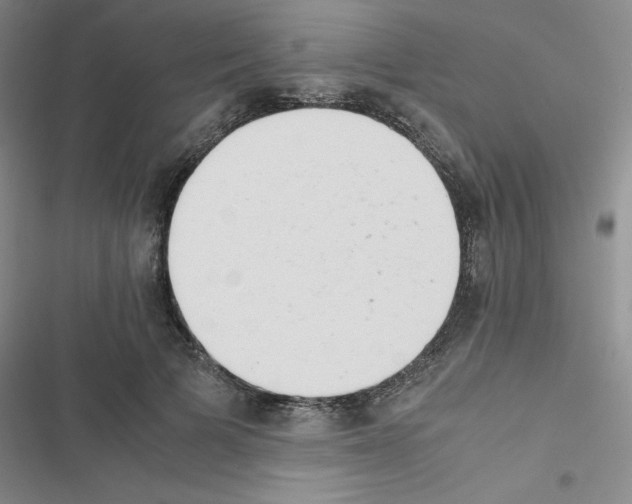 X0000116660697201001251218