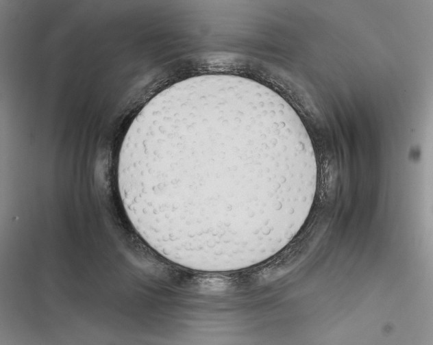 X0000116660698201001251218