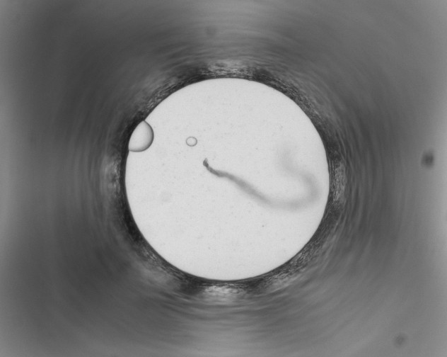 X0000116660699201001251218