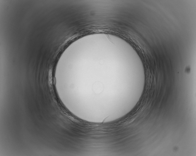 X0000116660700201001251218