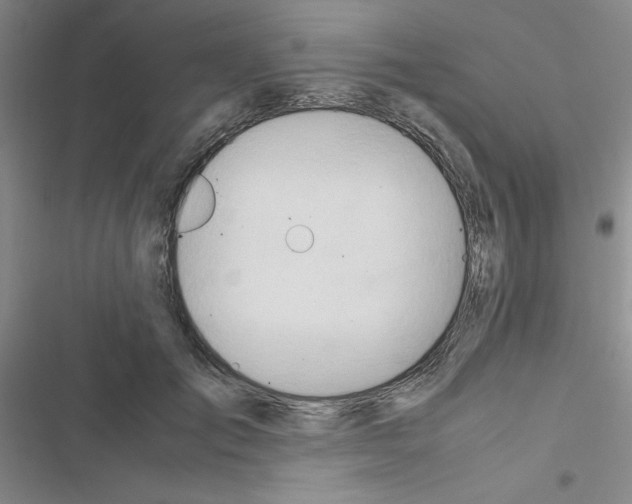 X0000116660701201001251218
