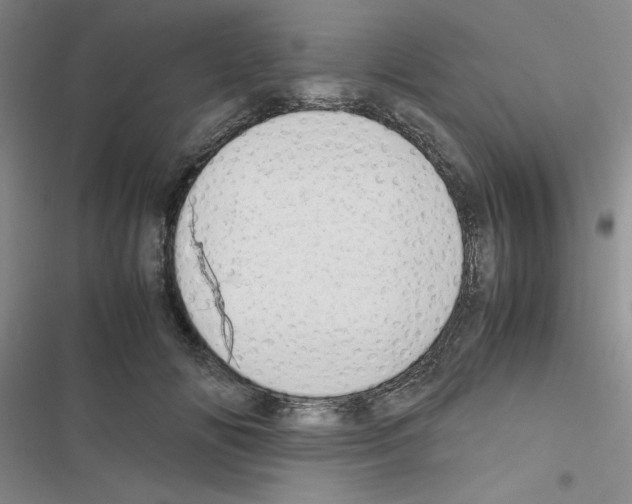 X0000116660702201001251218