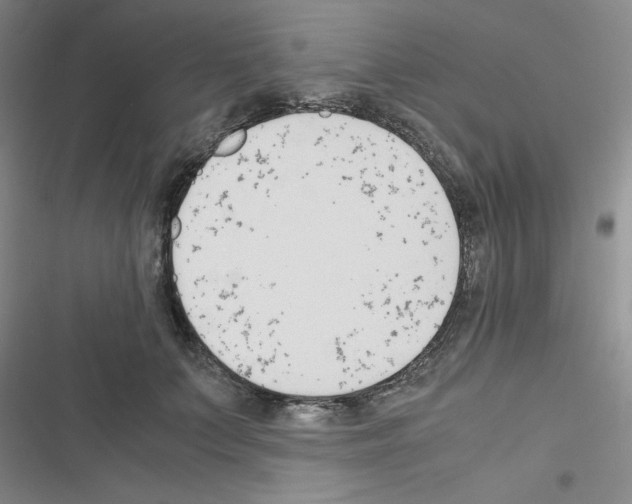 X0000116660703201001251218