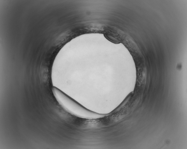 X0000116660704201001251218