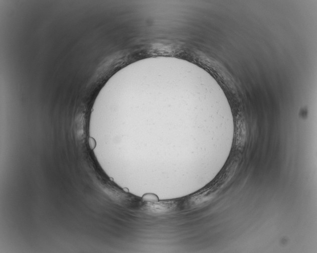 X0000116660706201001251218