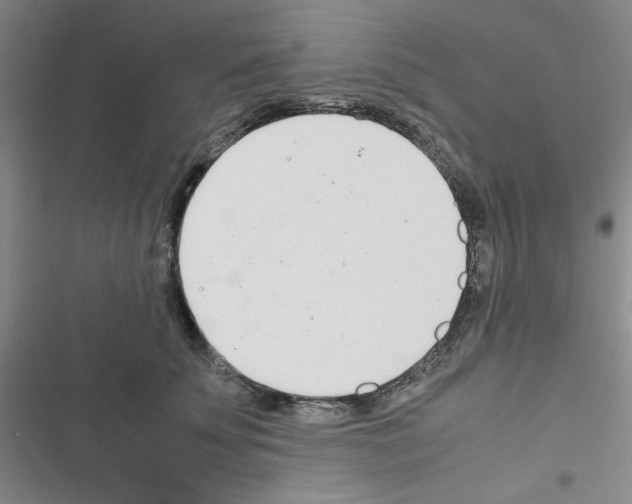 X0000116660707201001251218