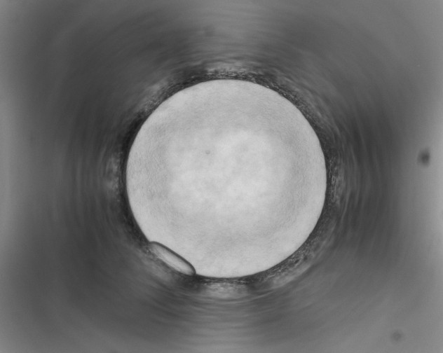X0000116660708201001251218