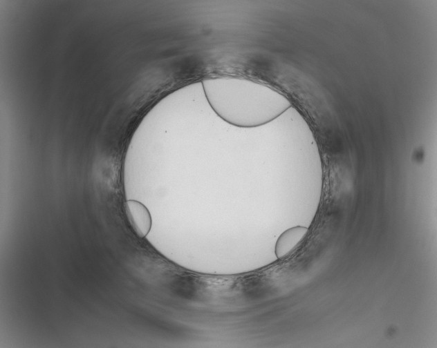 X0000116660709201001251218