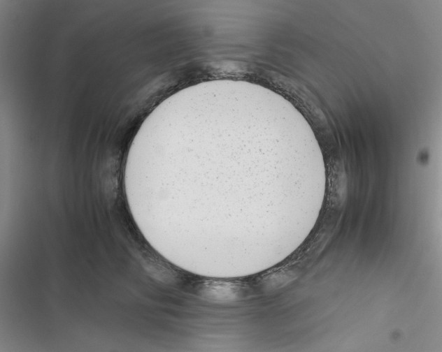 X0000116660710201001251218