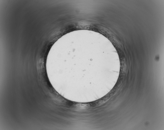 X0000116660711201001251218