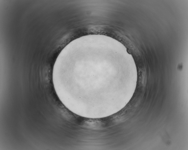 X0000116660712201001251218