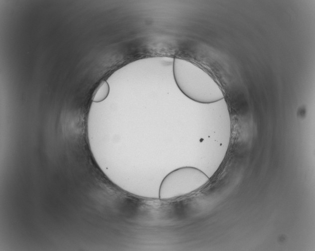 X0000116660713201001251218