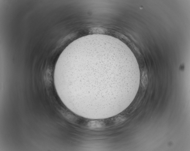 X0000116660714201001251218