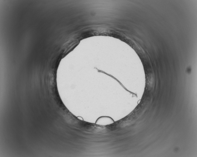 X0000116660715201001251218