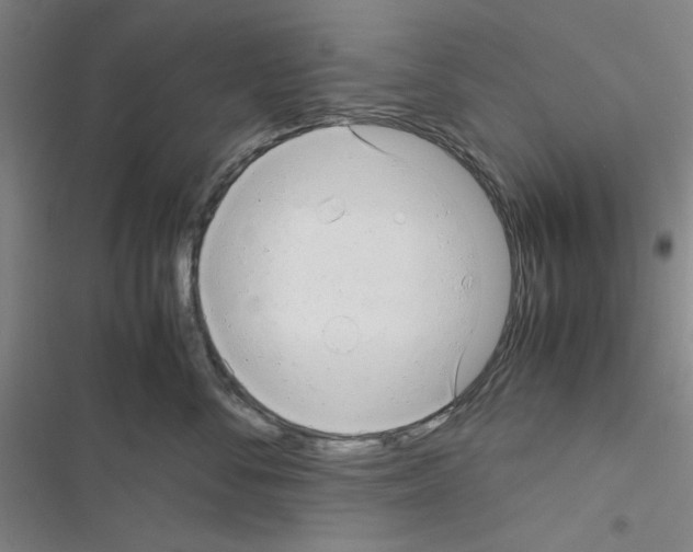 X0000116660716201001251218
