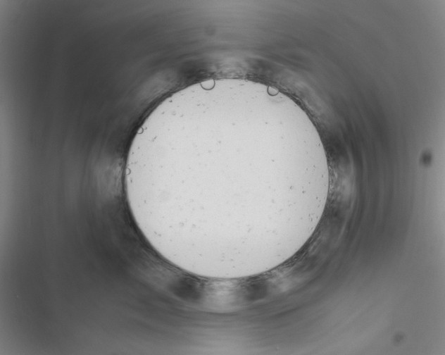 X0000116660717201001251218