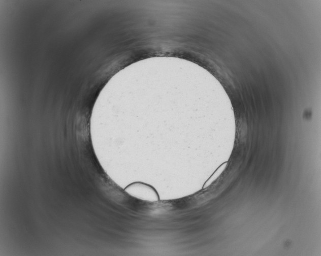 X0000116660719201001251218