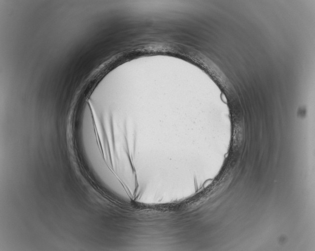 X0000116660722201001251217