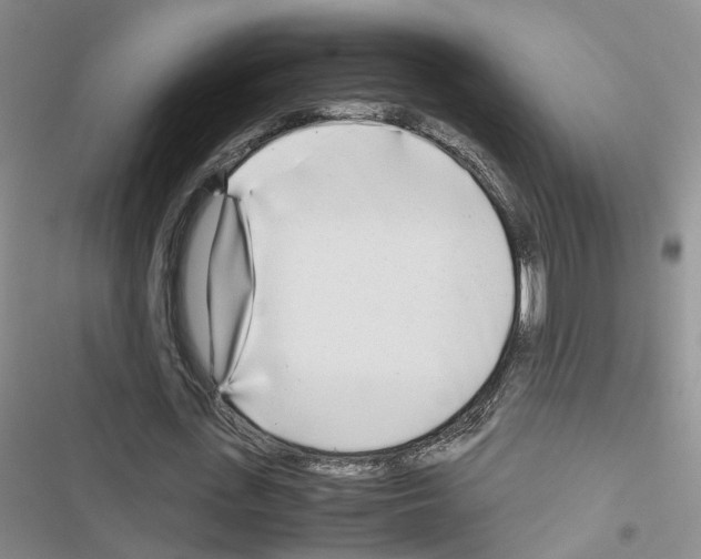 X0000116660723201001251217
