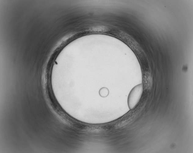 X0000116660726201001251217