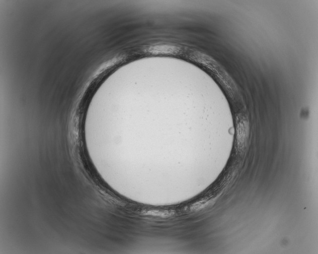 X0000116660727201001251217