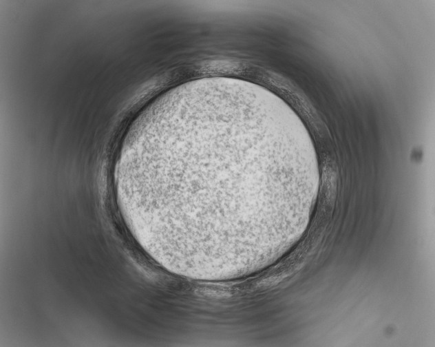 X0000116660729201001251217