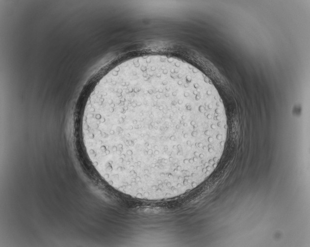 X0000116660730201001251217