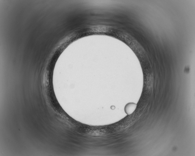 X0000116660731201001251217