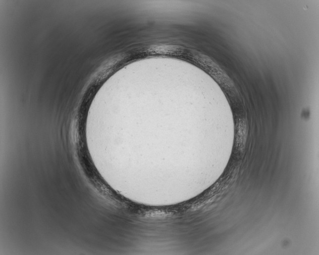 X0000116660734201001251217