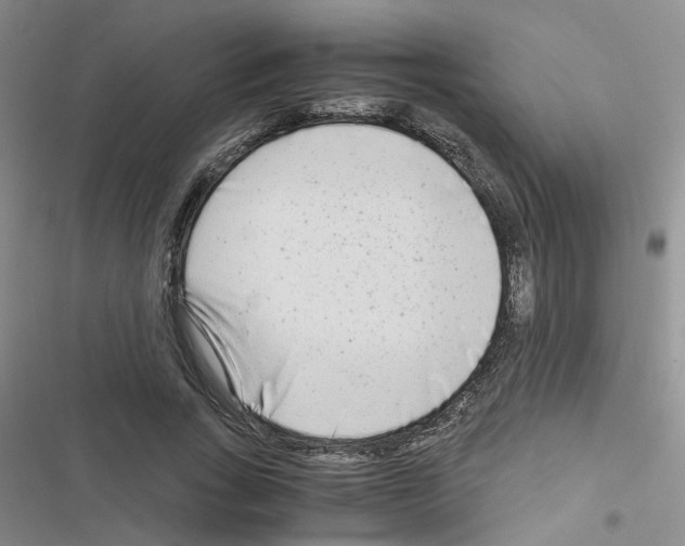 X0000116660735201001251217