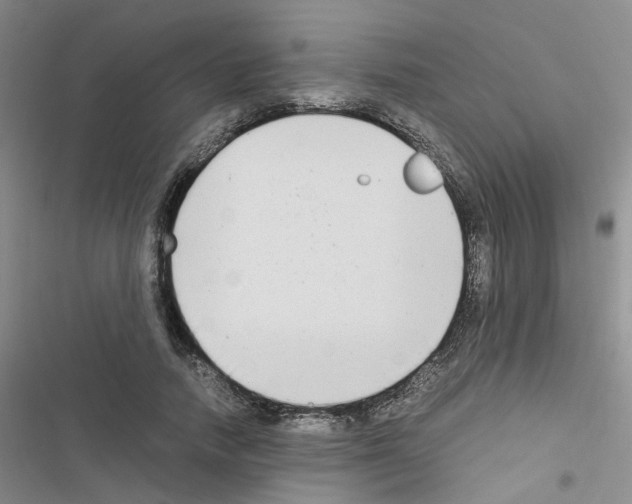 X0000116660738201001251217